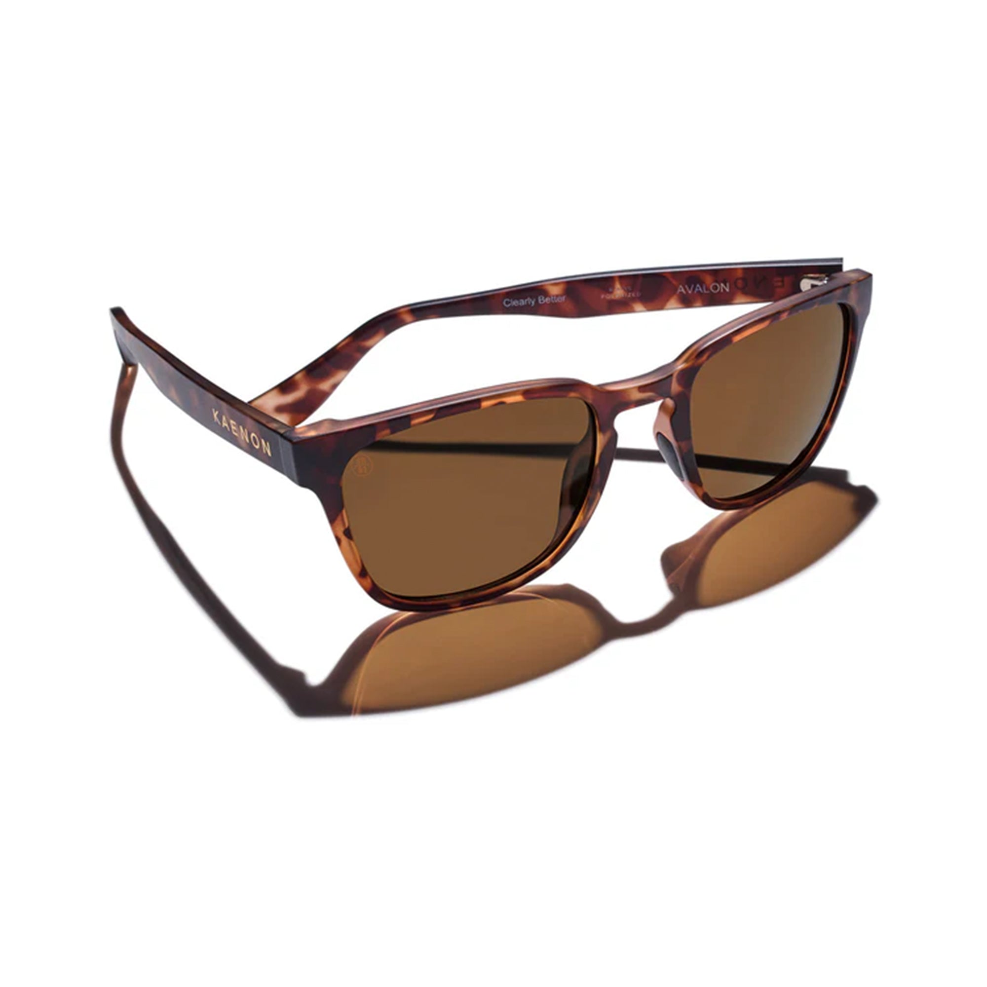 Avalon Polarized Sunglasses - Matte Tortoise / Brown 12 – Kaenon