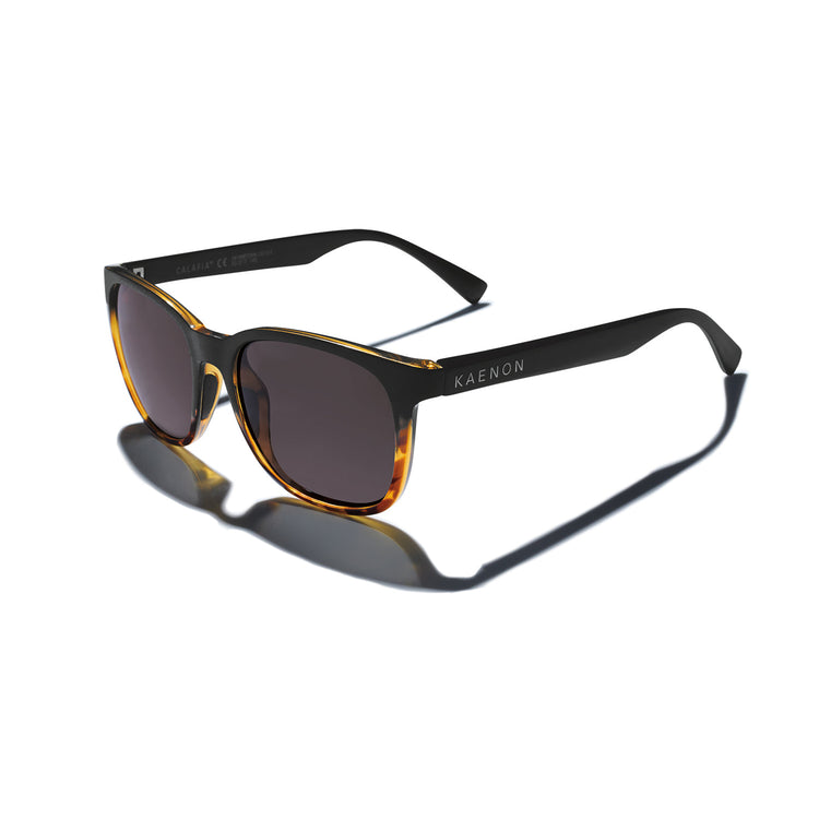 Calafia Polarized Sunglasses - Matte Black + Tortoise  display picture 2