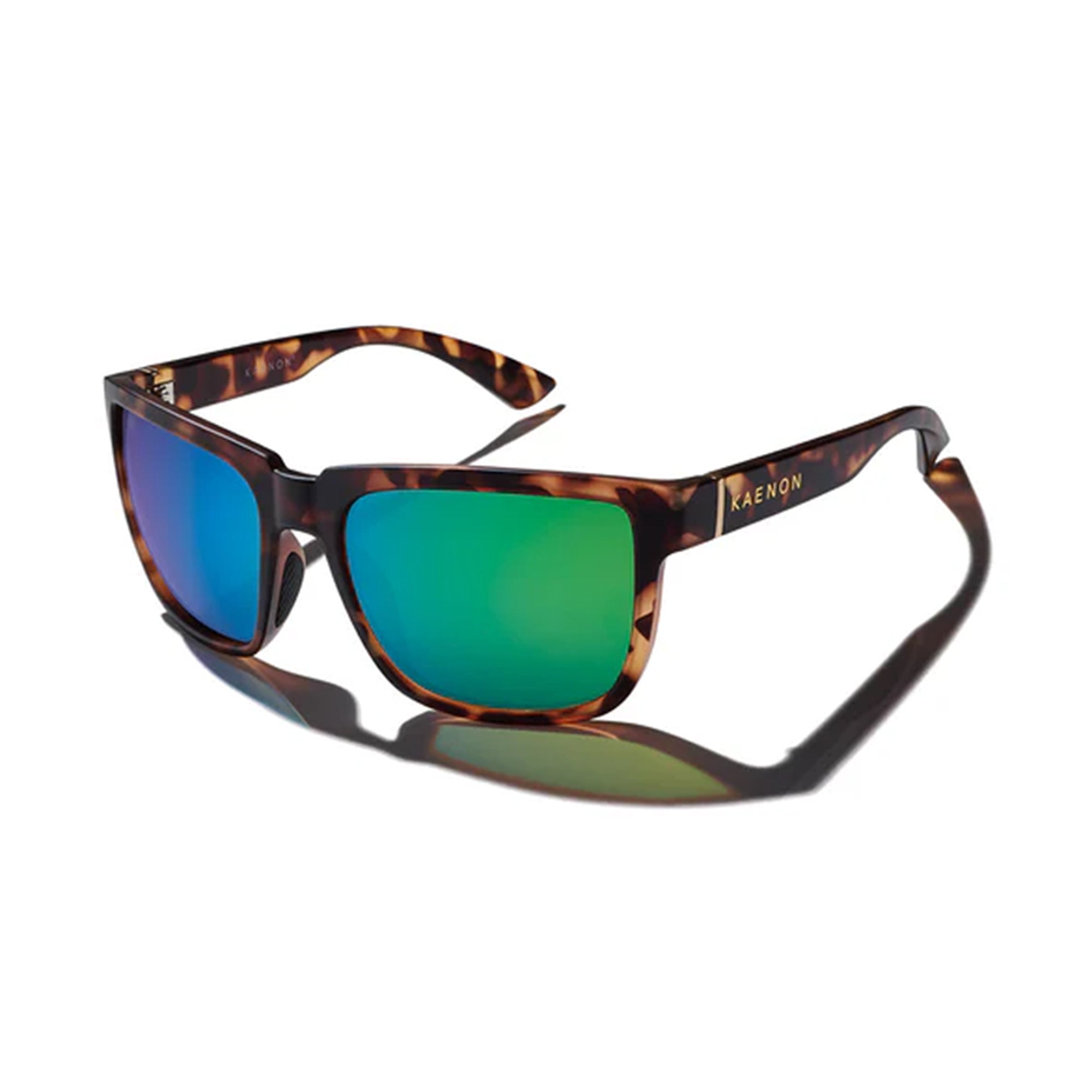 Salton Polarized Sunglasses - Matte Tortoise / Coastal Green