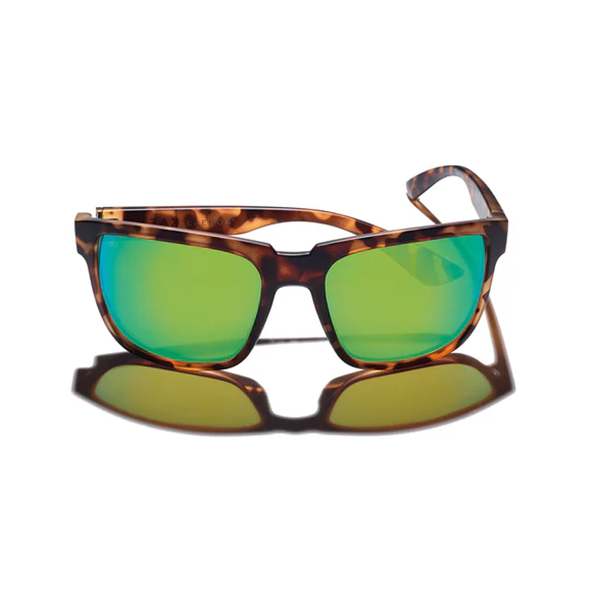 Salton Polarized Sunglasses - Matte Tortoise / Coastal Green