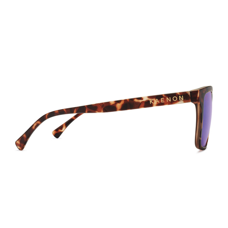 Venice Polarized Sunglasses - Matte Tortoise / Brown 12  display picture 1