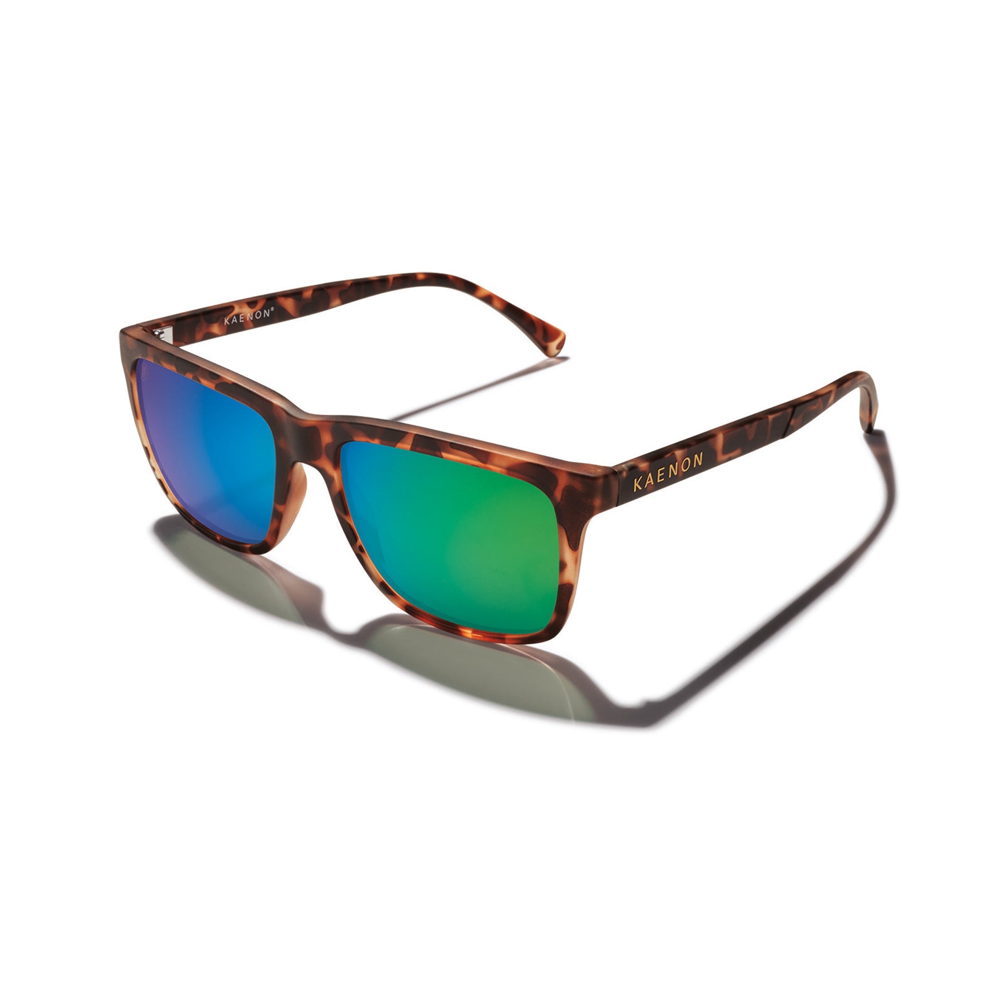 Venice Polarized Sunglasses - Matte Tortoise / Brown 12 Coastal