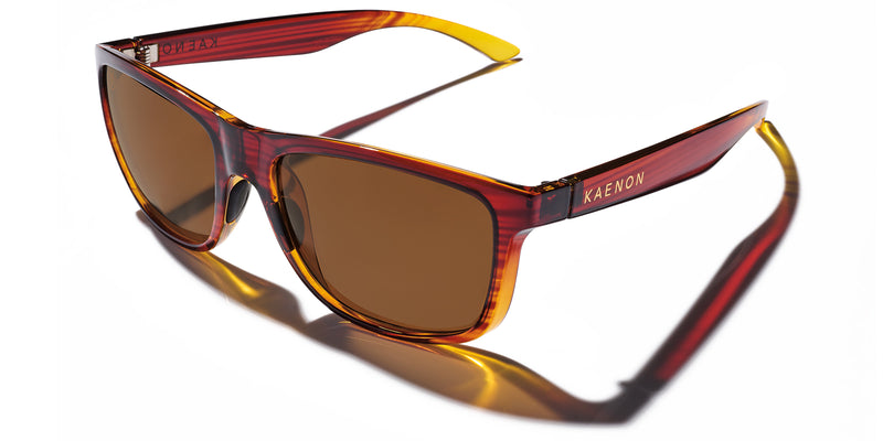 Buy the Rockaway Polarized Sunglasses now