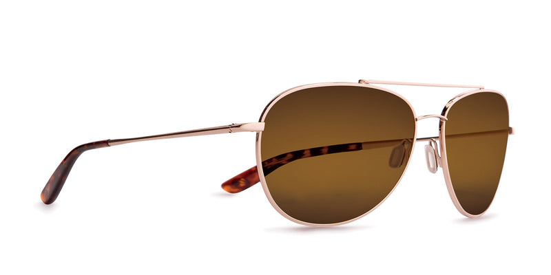 Buy the Driver Polarized Sunglasses now