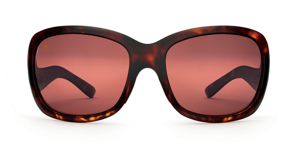 Buy the Avila Polarized Sunglasses now