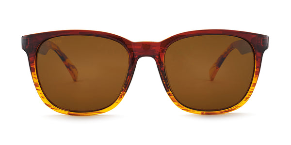 Silverado Polarized Sunglasses Sequoia / Ultra Brown 12